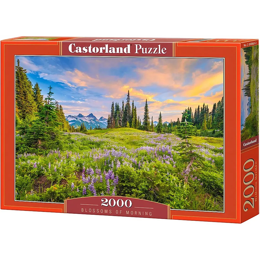 Castorland Puzzle Blossoms of Morning - 2000 Teile