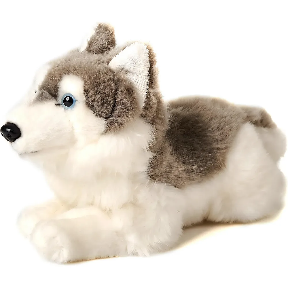 Unitoys Husky liegend - 31 cm - Hunde Pl�sch