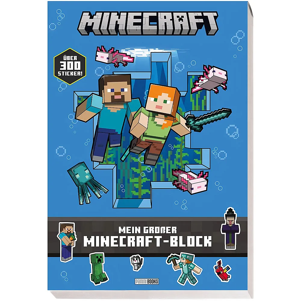 Panini Grosser Minecraft Block