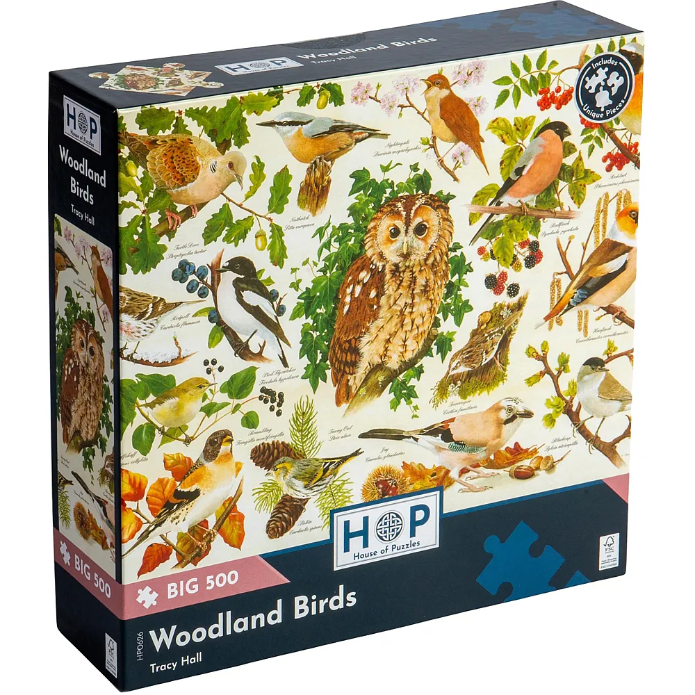 HOP - House of Puzzles Waldv�gel 500Teile