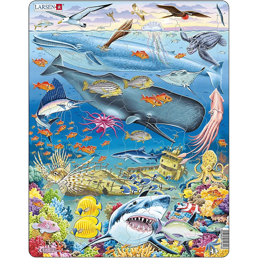 Larsen Puzzle Vita marina nell'Oceano Pacifico - 66 pezzi