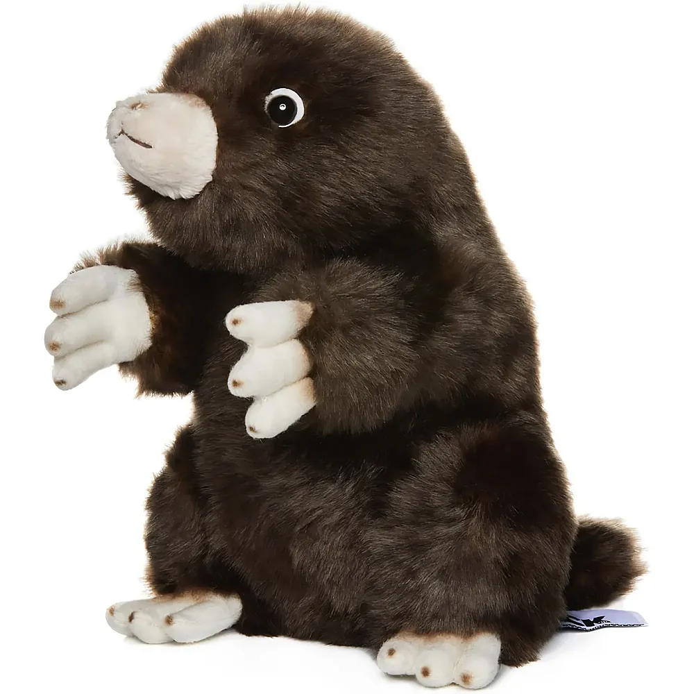 Carl Dick Taupe - 21 cm