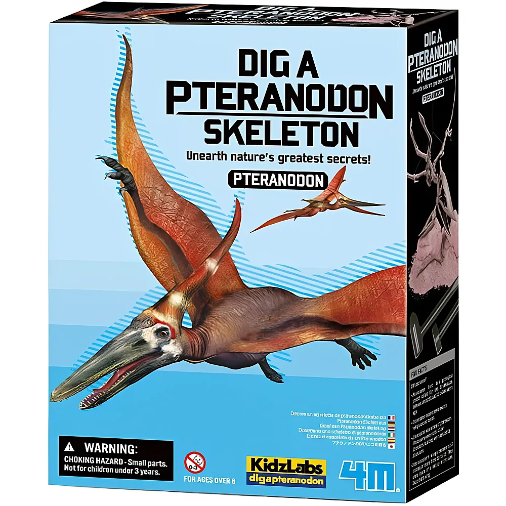 4M Dino Ausgrabungsset - Pteranodon