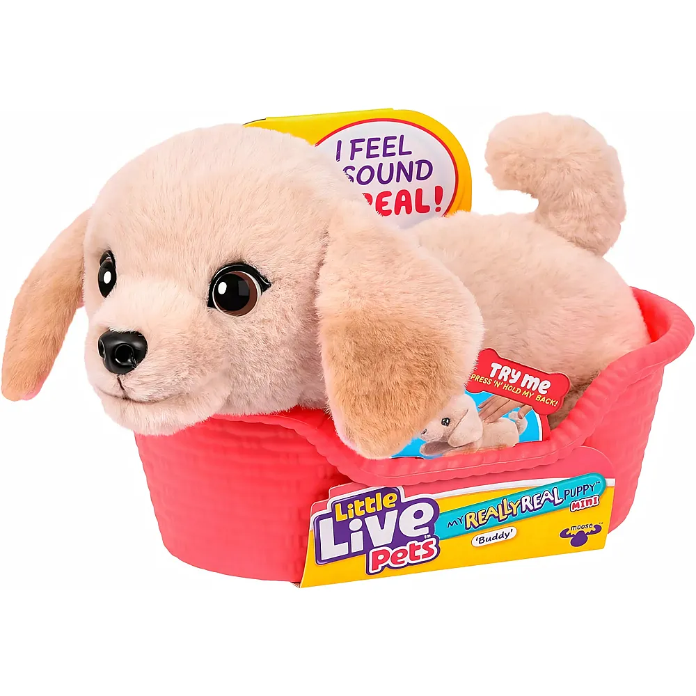 meinspielzeug - Moose Toys Little Live Pets Mein wirklich echter Welpen-Mini-Kumpel mit 20 Ger�uschen | Hunde Pl�sch