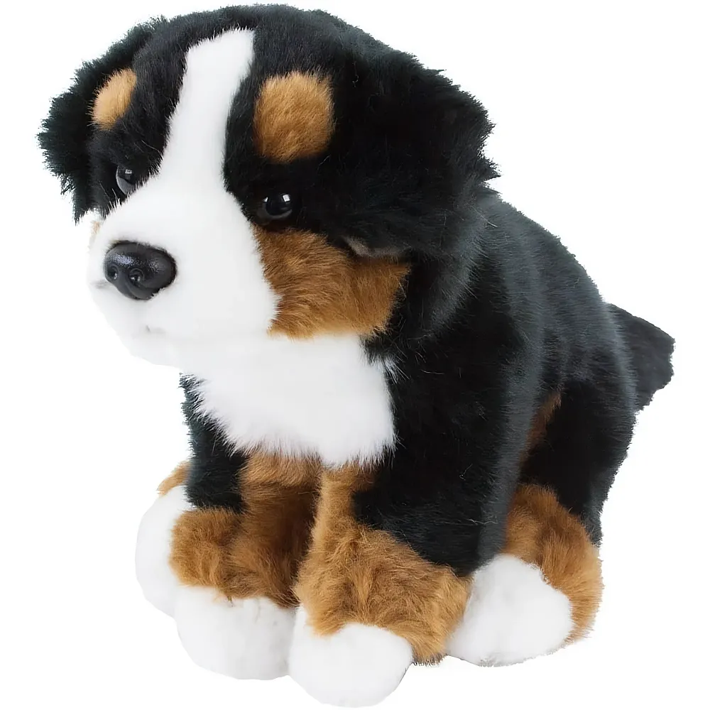 Teddys Rothenburg Berner Sennenhund Benni sitzend - 22 cm - Hunde Pl�sch