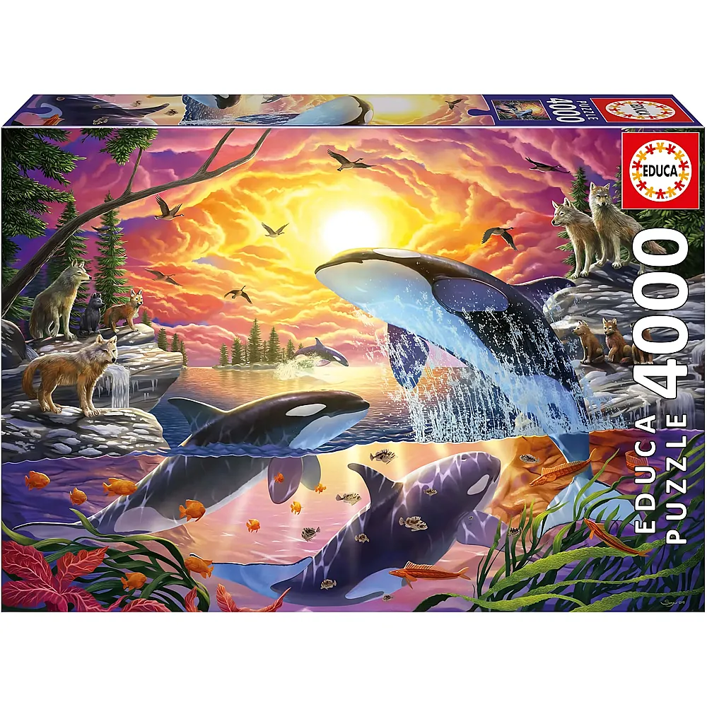 Educa Puzzle Orcas und W�lfe - 4000 Teile