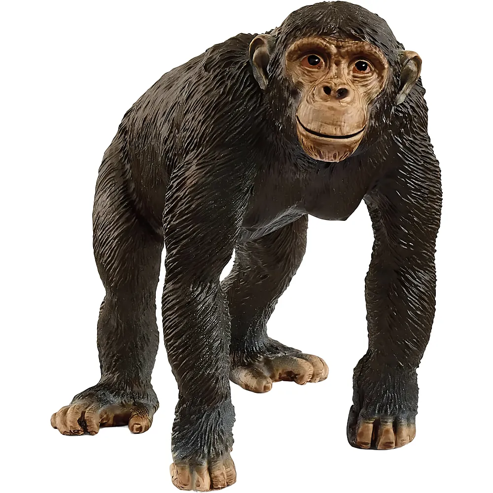 Schleich Wild Life Schimpanse | Wildtiere