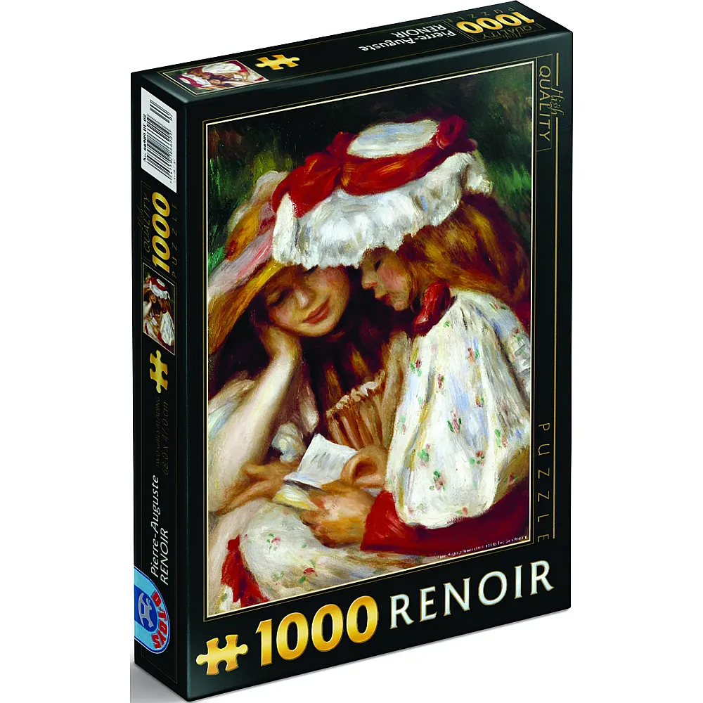 DToys Puzzle Auguste Renoir Zwei lesende M�dchen - 1000 Teile