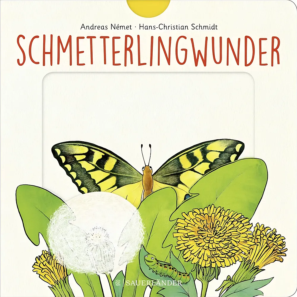 S. Fischer Schmetterlingwunder