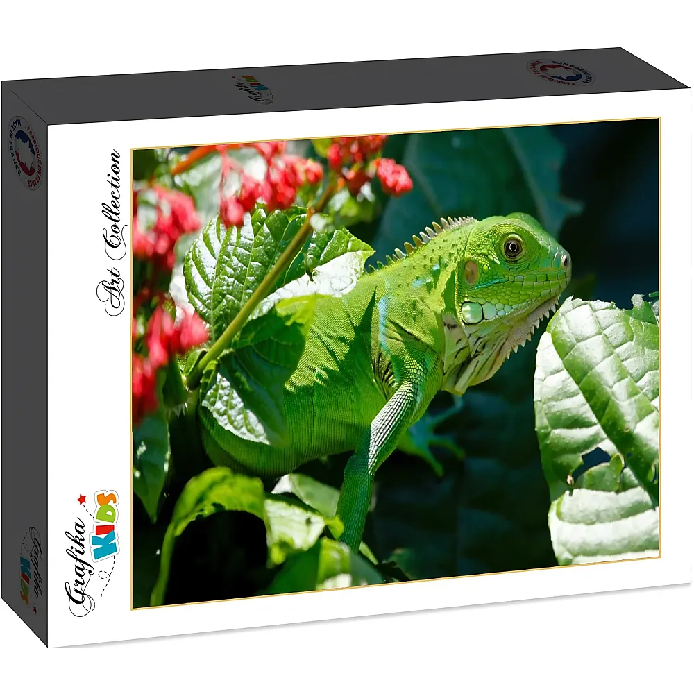 Grafika Puzzle Art Collection Grafika Kids Iguana - 12 Teile