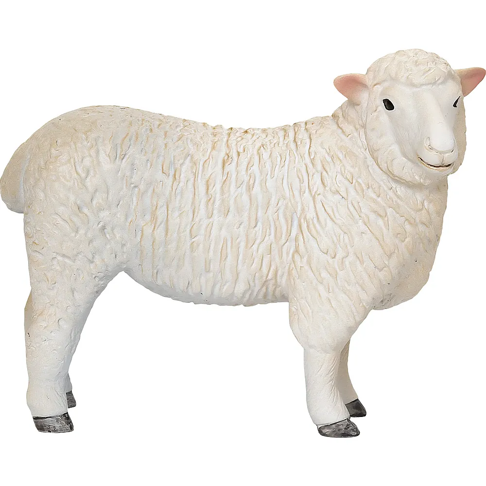 Mojo Farmland Romney Sheep Ewe