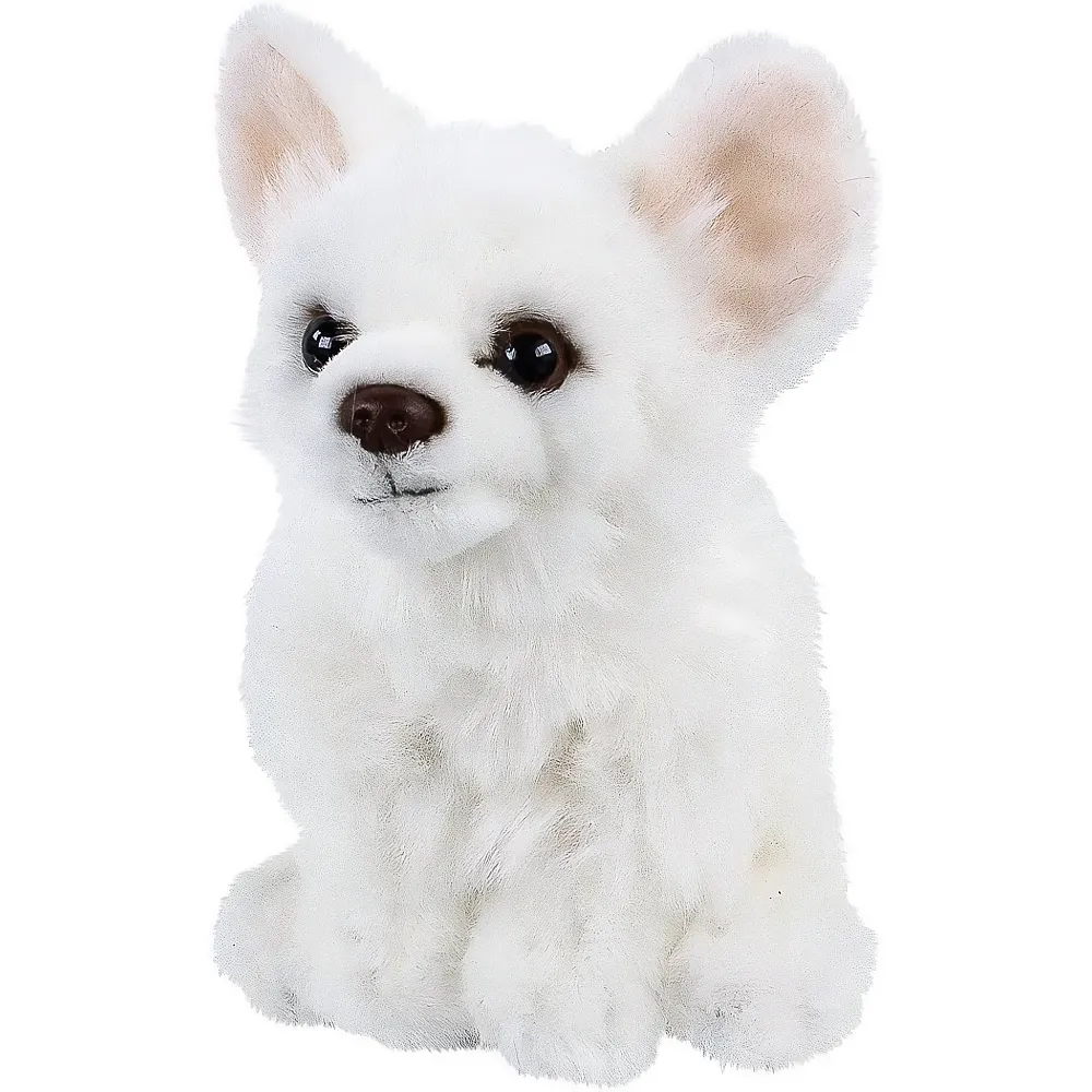Teddys Rothenburg Chihuahua sitzend Weiss - 17 cm