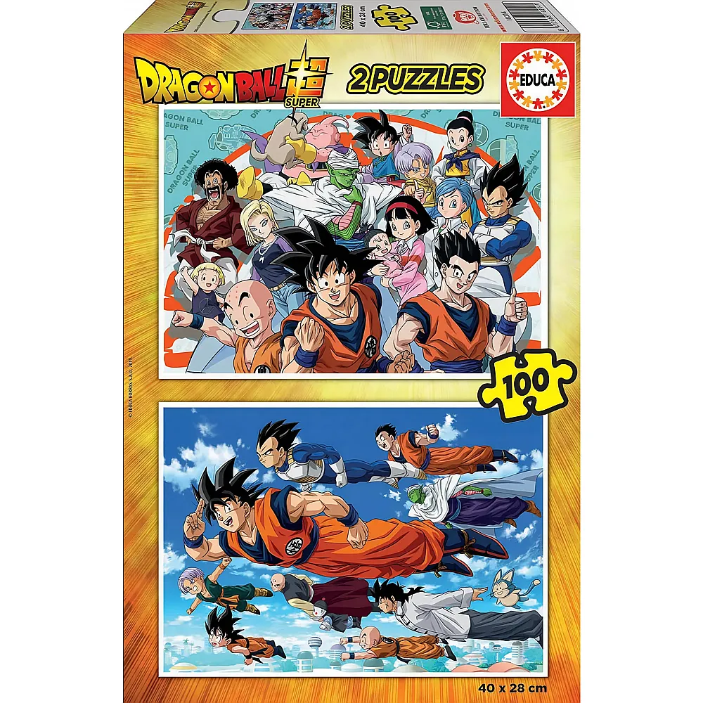 Educa Puzzle 2in1 Dragonball Super 100Teile