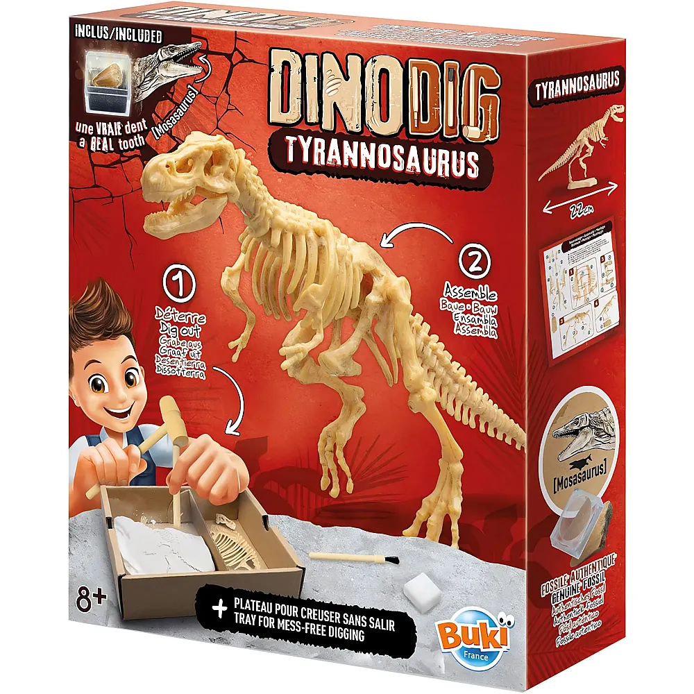 Buki Dino zum Ausgraben  T-Rex  Arch�ologie-Spielzeug f�r Kinder ab 8 Jahren  Dinosaurier Skelett Ausgrabungsset