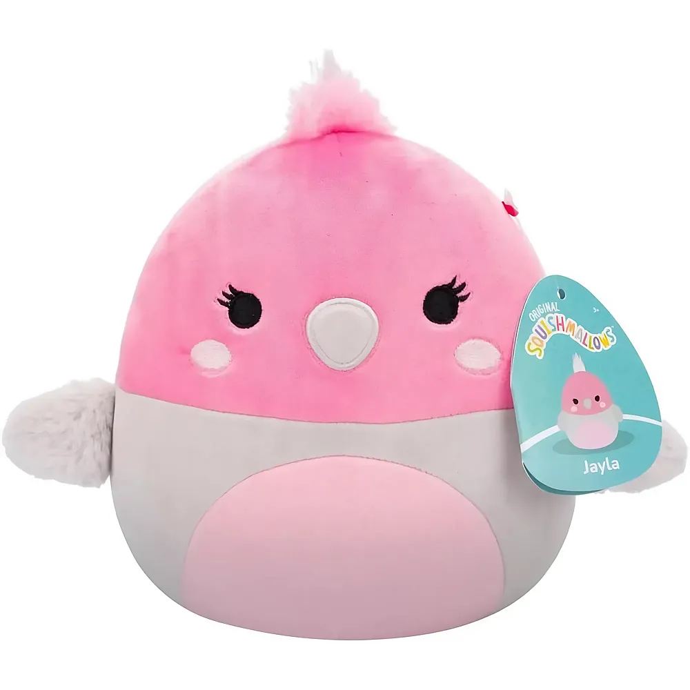 meinspielzeug - Squishmallows Pl�sch Jayla the Galah 19cm | V�gel Pl�sch
