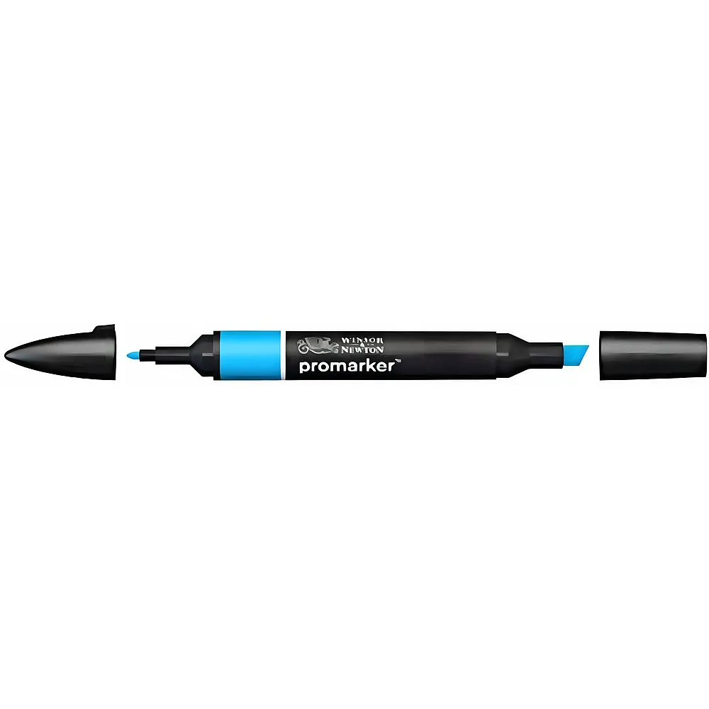 Winsor & Newton Promarker Stift mit 2 Spitzen Cyan