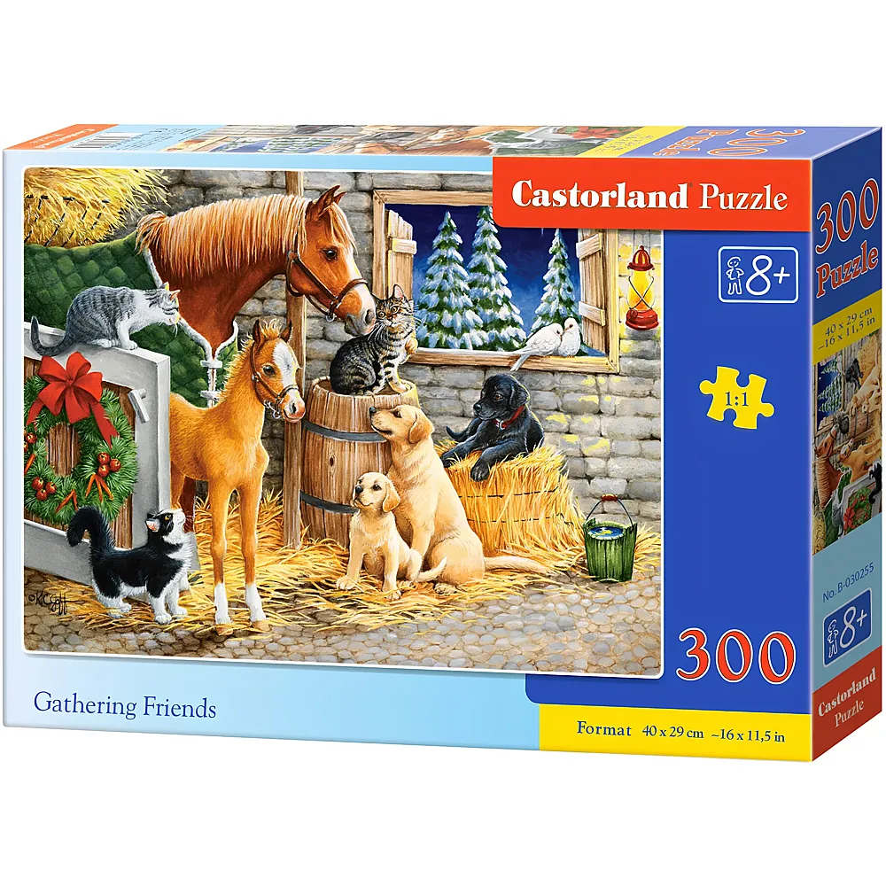 Castorland Puzzle Gathering Friends - 300 Teile