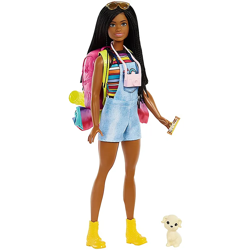 Barbie Familie & Freunde Camping Spielset mit Brooklyn Puppe
