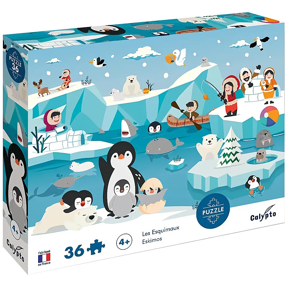 Calypto Puzzle Polar - 36 Teile