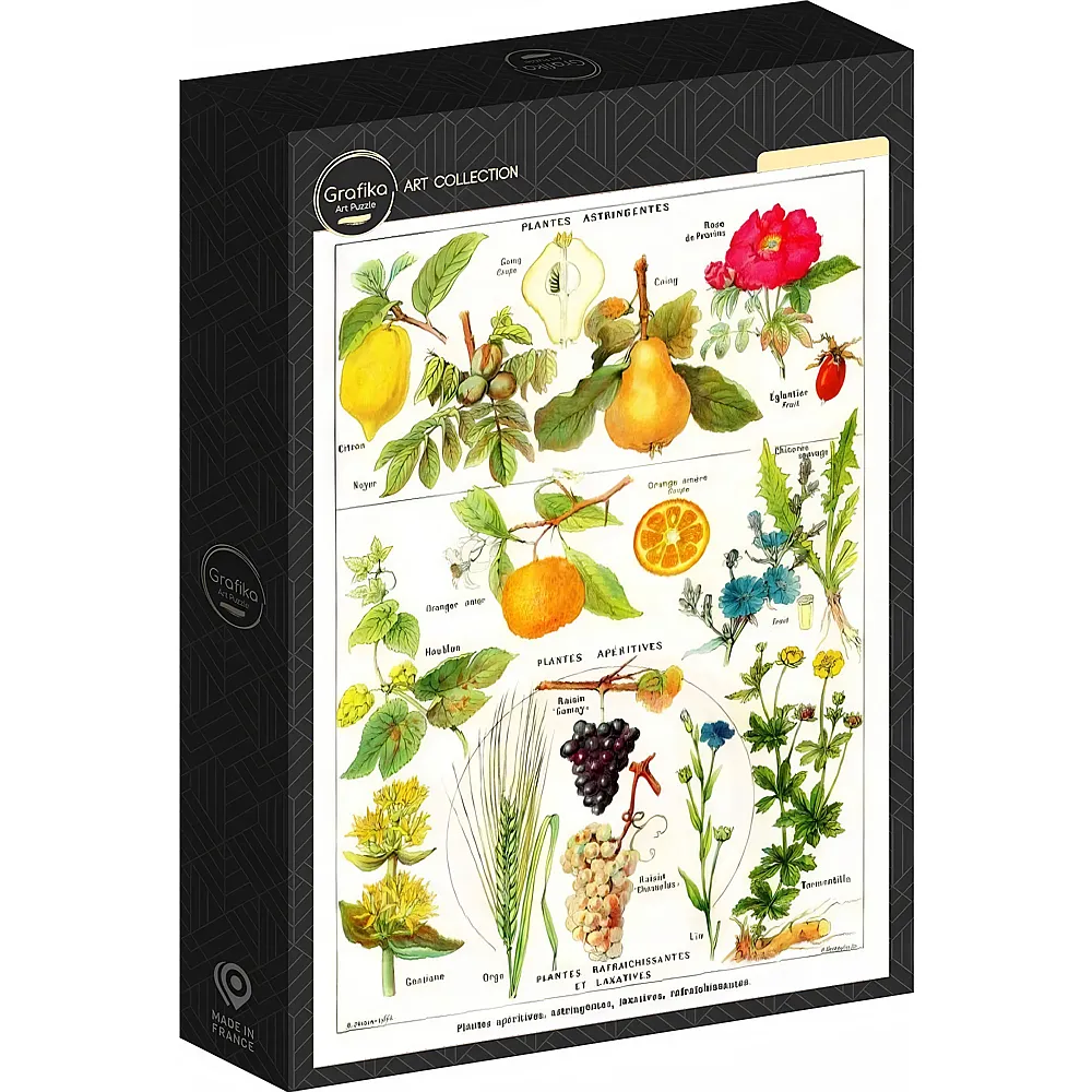Grafika Puzzle Art Collection Abbildung aus Larousse Medical Illustr� : Adstringierende Pflanzen, 1912 1000Teile