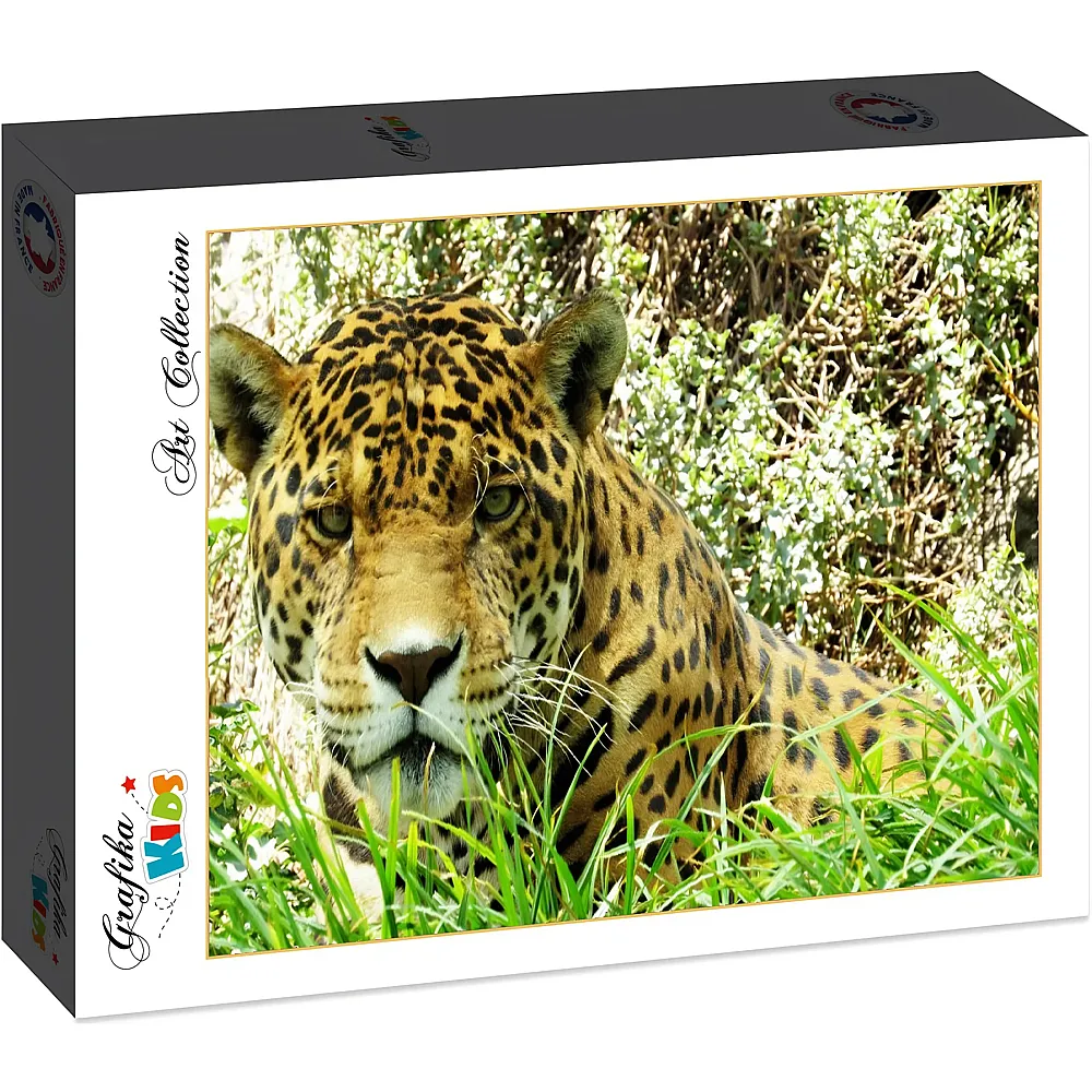 Grafika Puzzle Art Collection Grafika Kids Jaguar - 12 Teile