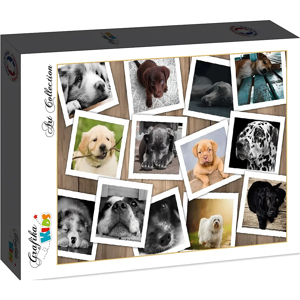 Grafika Puzzle Art Collection Grafika Kids Hunde - 12 Teile