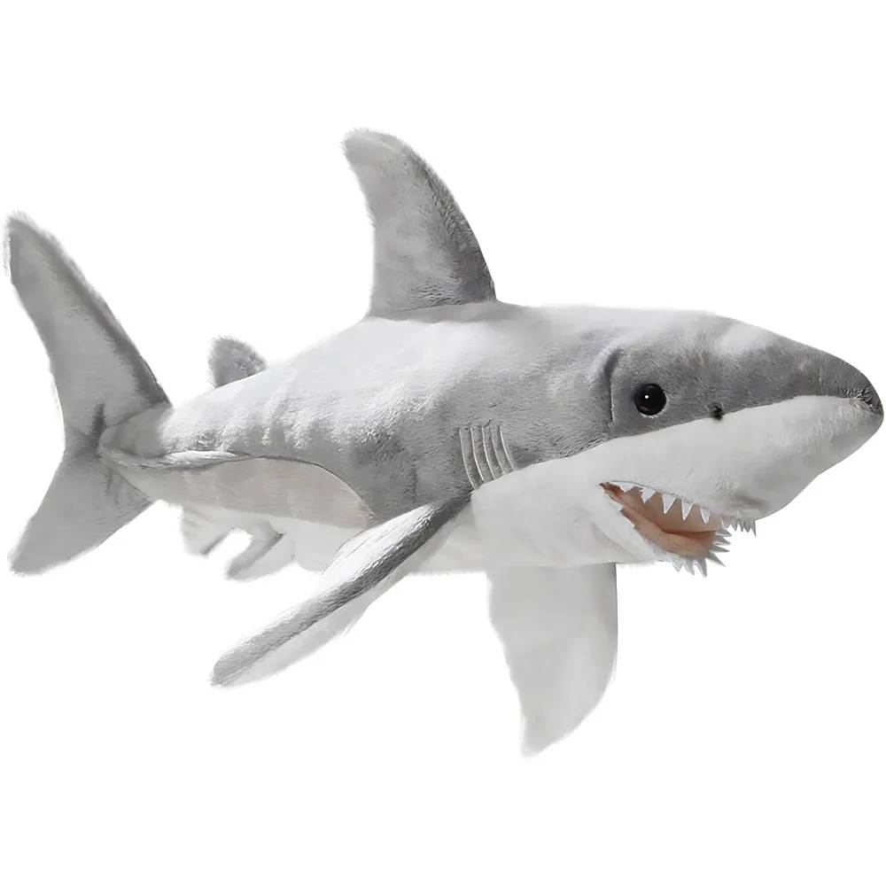 Carl Dick Hai - 50 cm