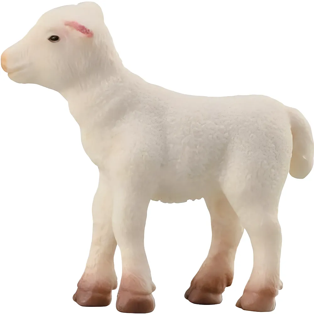 meinspielzeug - CollectA Farm Time Lamm | Bauernhoftiere