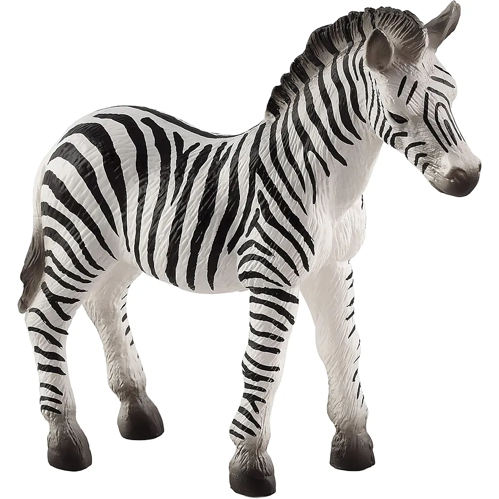 Mojo Wildlife Zebra foal