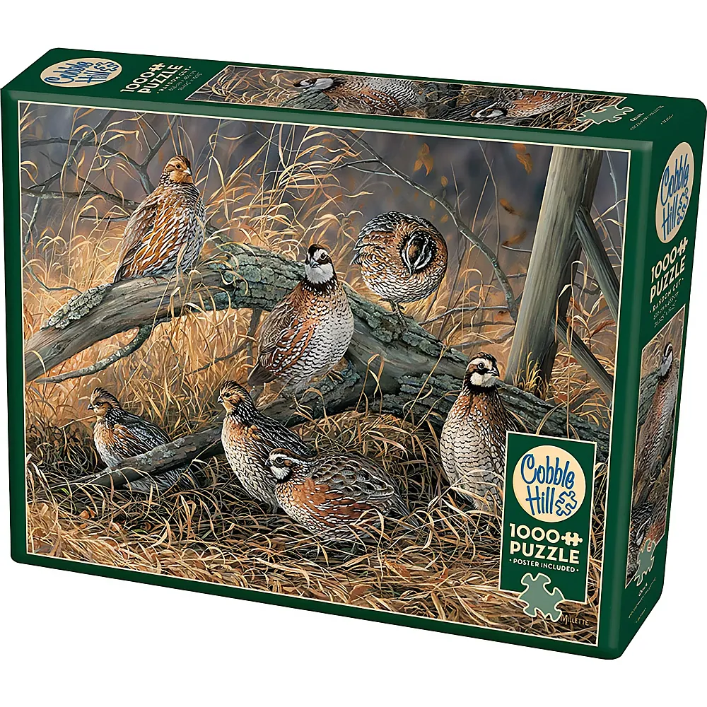Cobble Hill Puzzle Quail - 1000 Teile