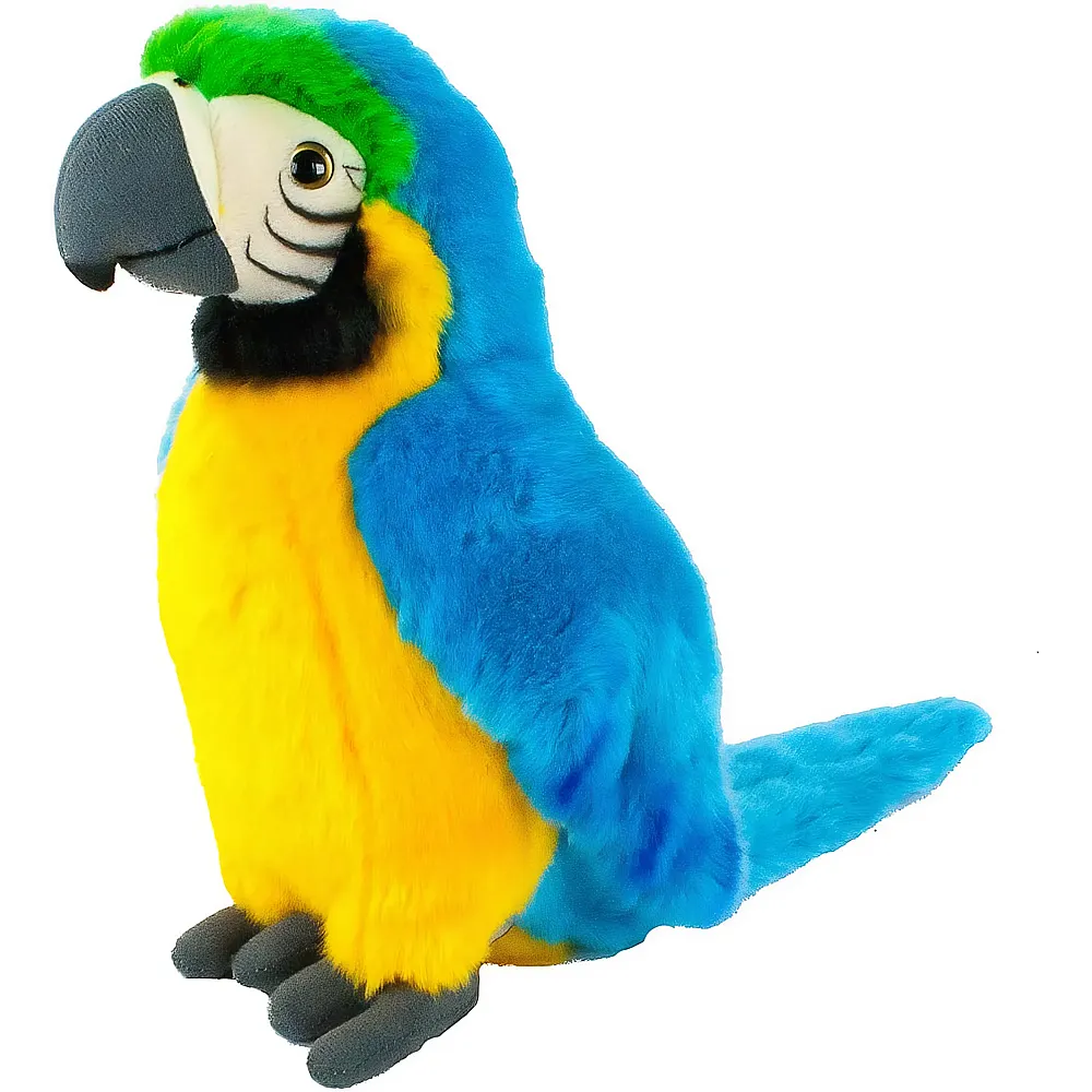 Teddys Rothenburg Perroquet Bleu/Vert - 26 cm