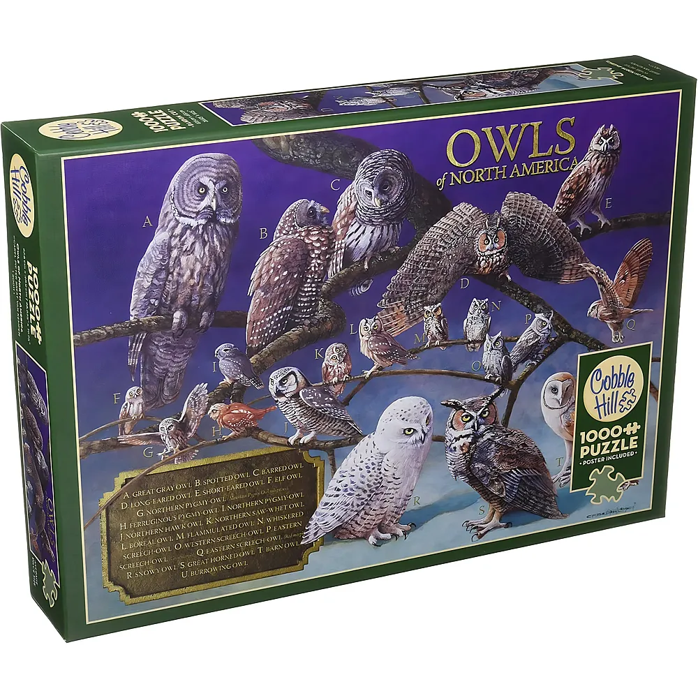 Cobble Hill Puzzle Owls of North America - 1000 Teile