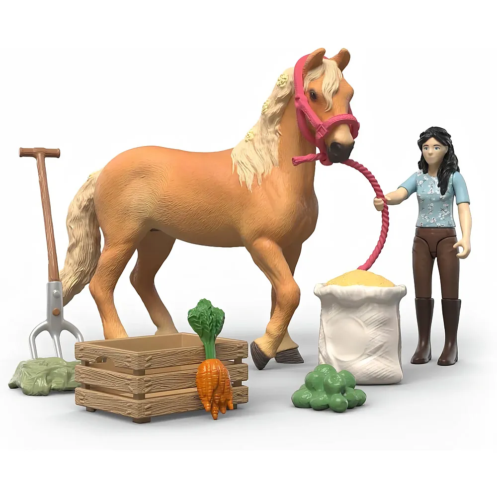 meinspielzeug - Schleich Horse Club Emilys Pflege Set | Pferde