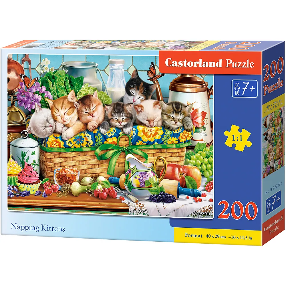 Castorland Puzzle Napping Kittens - 200 Teile