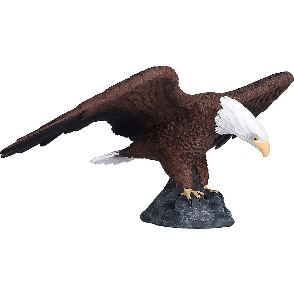 Mojo Wildlife Weisskopf-Seeadler