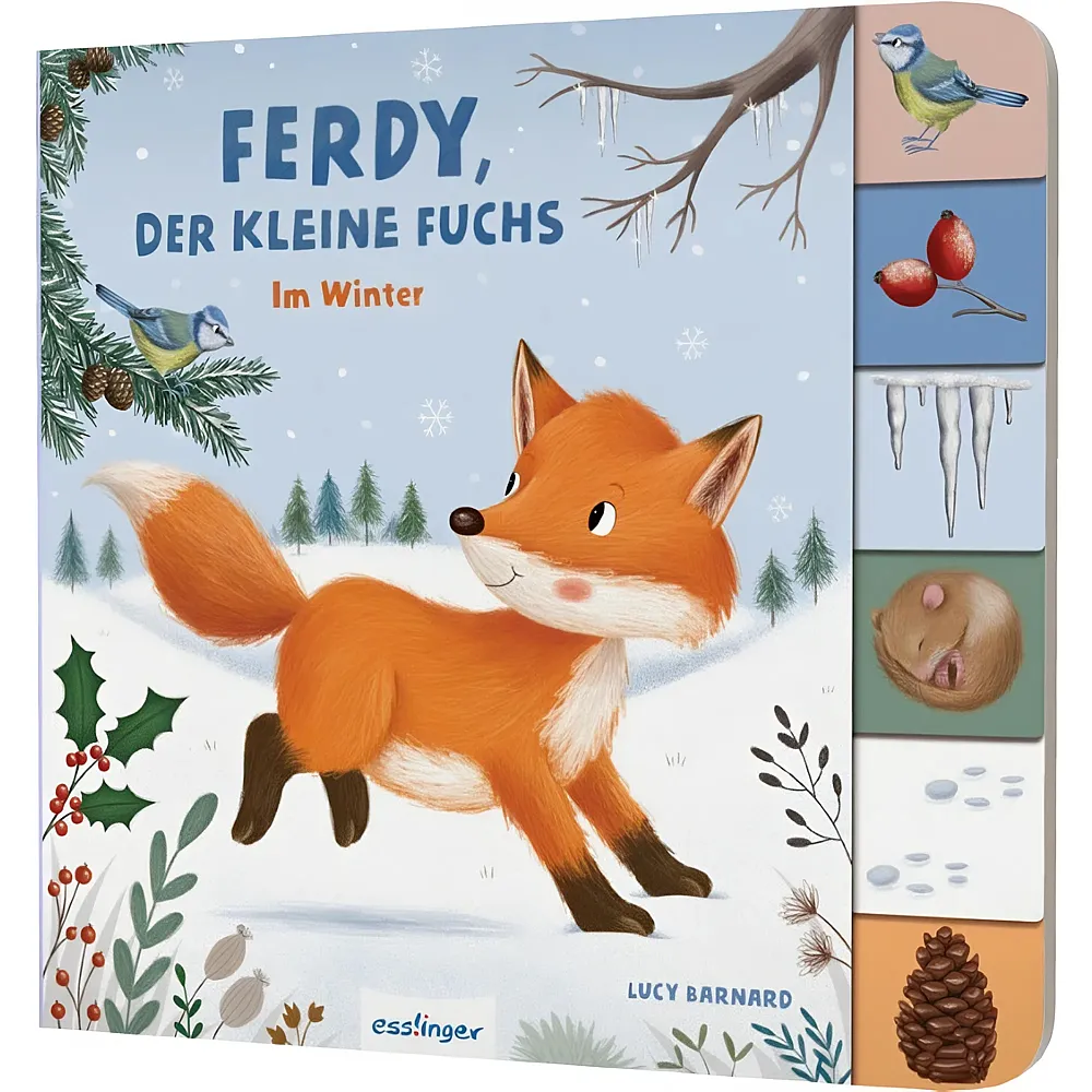 Thienemann Ferdy, der kleine Fuchs - Im Winter