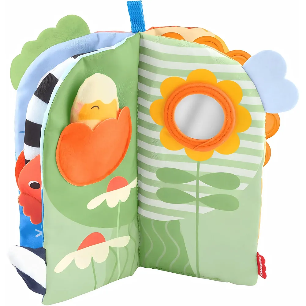 Fisher-Price Balanced Beginnings Sensory