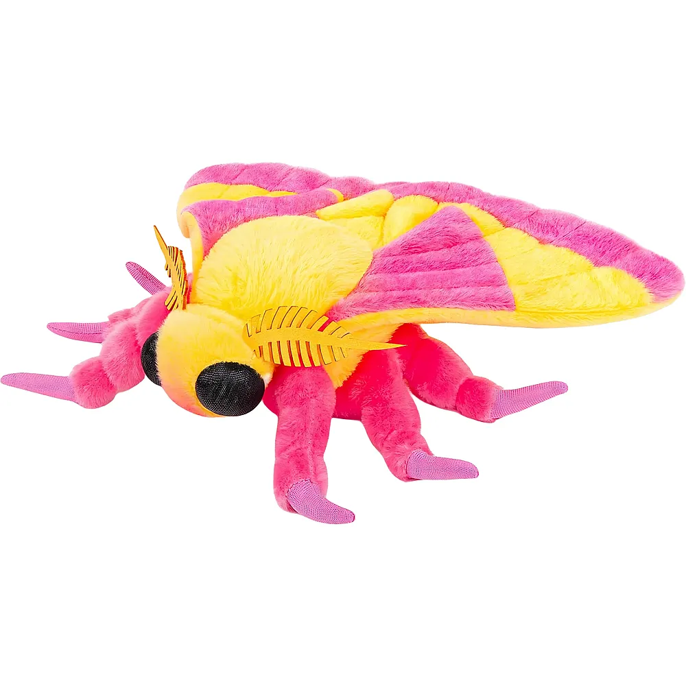 Tiny Heart Rosige Ahornmotte - 30 cm