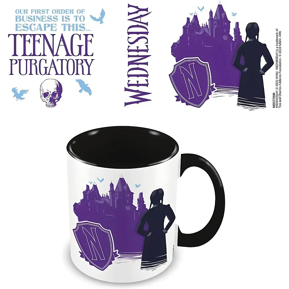 Pyramid Wednesday: Teenage Purgatory - Mug 315 ml