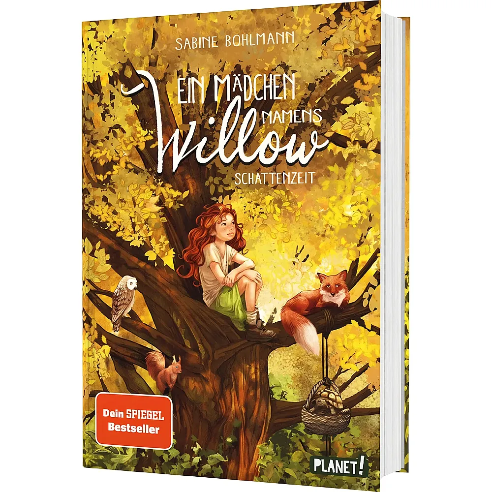 Thienemann Ein M�dchen namens Willow 5: Schattenzeit