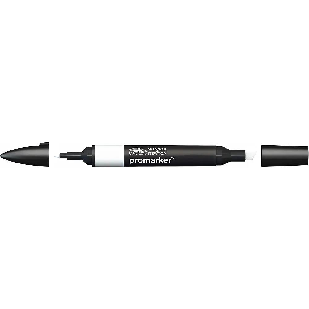 Winsor & Newton Promarker Stift mit 2 Spitzen Eis Grau 00 | Farbe & Kreide