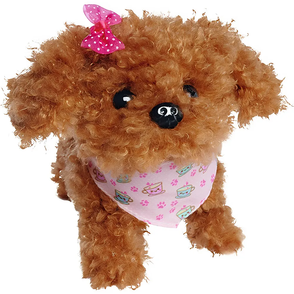 Simba ChiChi Love Tea Cup Poodle Puppy