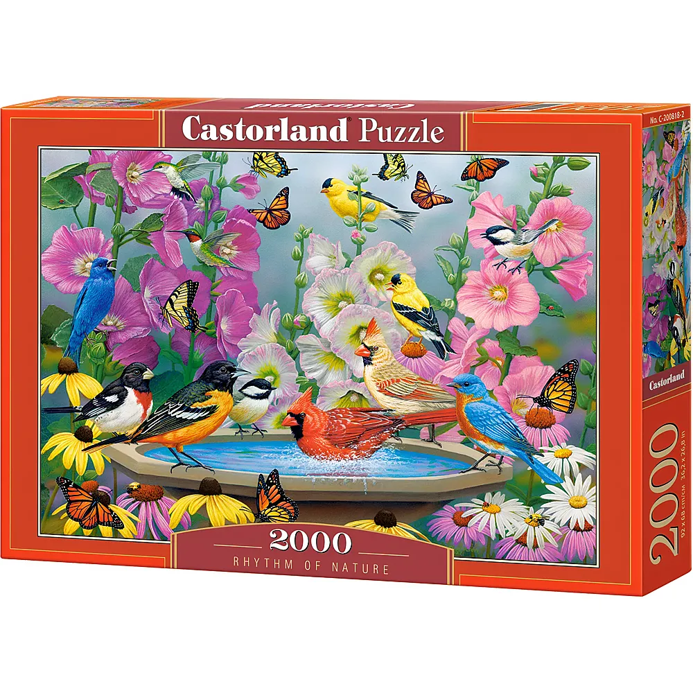 Castorland Puzzle Rhythm of Nature - 2000 Teile