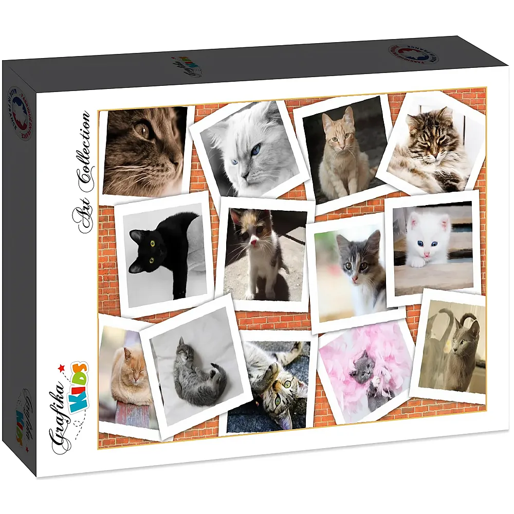 Grafika Puzzle Art Collection Grafika Kids Katzen - 12 Teile
