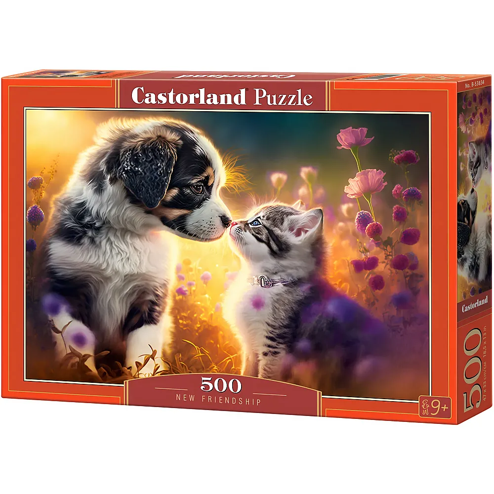 Castorland Puzzle Neue Freundschaft 500Teile
