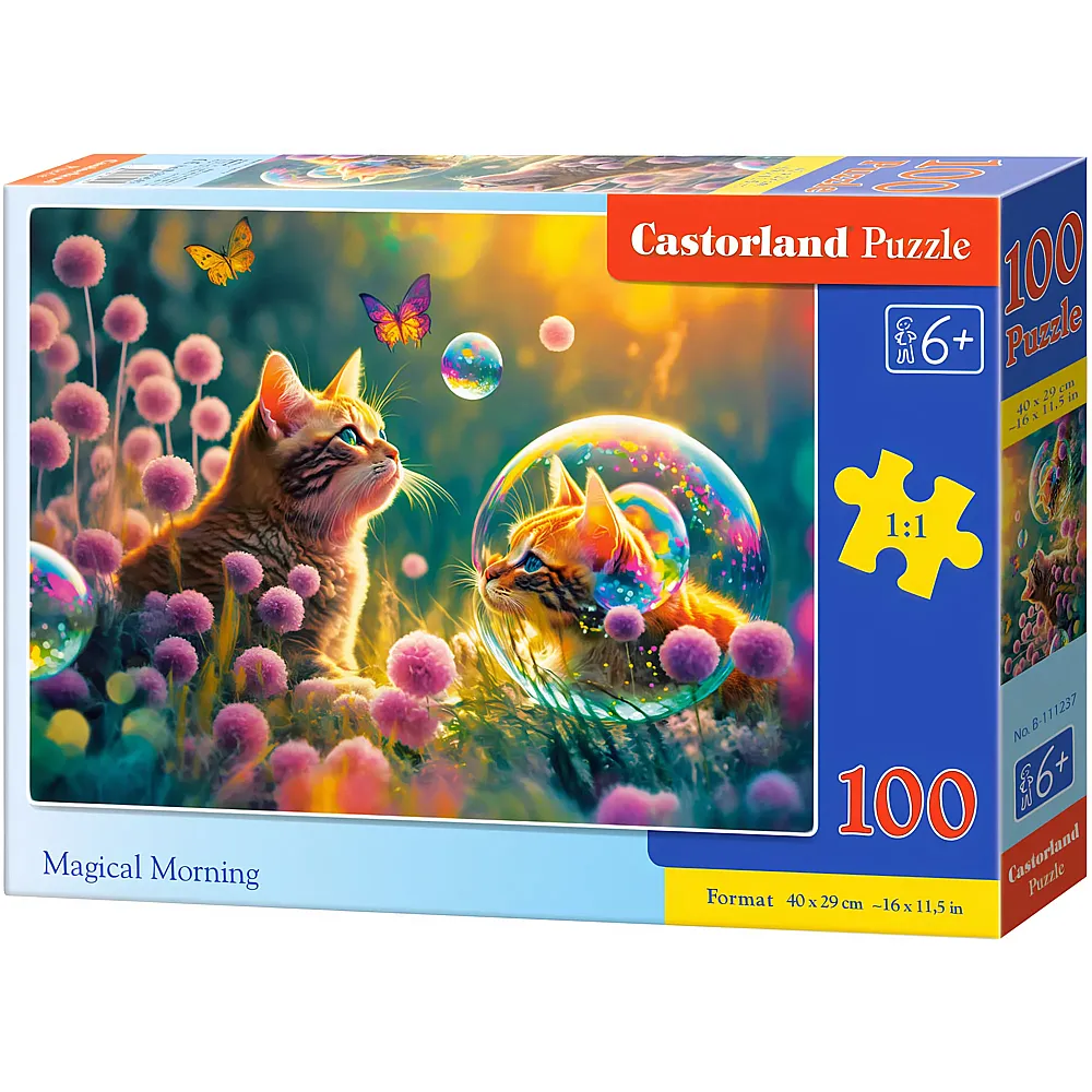 Castorland Puzzle Magical Morning - 100 Teile