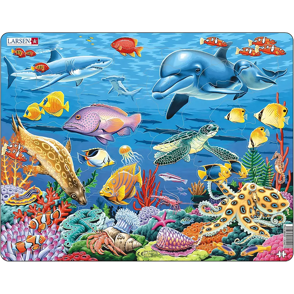 Larsen Puzzle Puzzle Tiere  Korallenriff, 35 Teile. - Suche