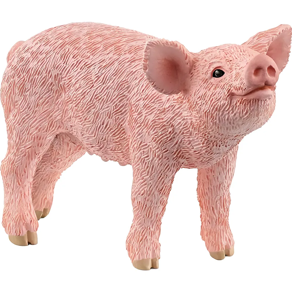 meinspielzeug - Schleich Farm World Ferkel | Bauernhoftiere