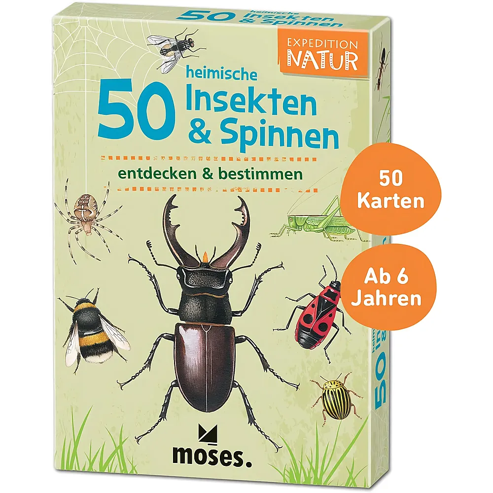 Moses Expedition Natur 50 heimische Insekten und Spinnen