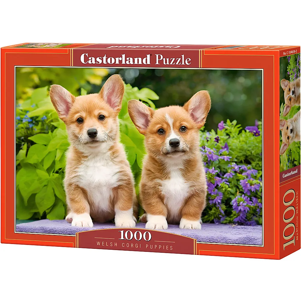 Castorland Puzzle Welsh Corgi Puppies 1000Teile